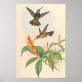 Poster Oiseaux d'art vintages Fleurs d'impression (Devant)