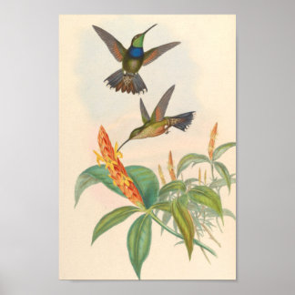 Poster Oiseaux d'art vintages Fleurs d'impression