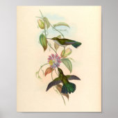 Poster Oiseaux d'art vintages Fleurs d'impression (Devant)