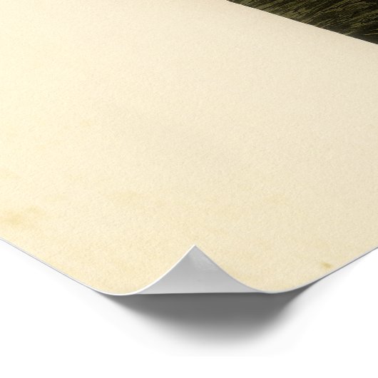 Poster Oiseaux d'Audubon Great Blue Heron (Coin)