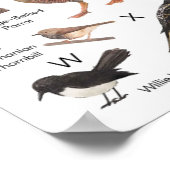 Poster Oiseaux d'Australie (Coin)