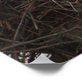 Poster Oiseaux de Balbuzards dans le nid (Coin)