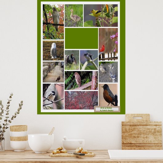 Poster Oiseaux de Boston (Cuisine)