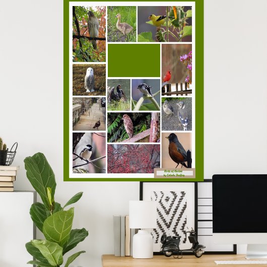 Poster Oiseaux de Boston (Bureau à domicile)