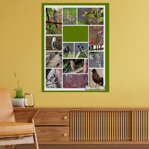 Poster Oiseaux de Boston