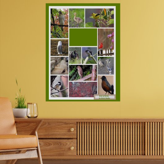 Poster Oiseaux de Boston (Salon 2)