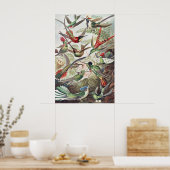 Poster Oiseaux de colibri Faune Peinture classique (Cuisine)