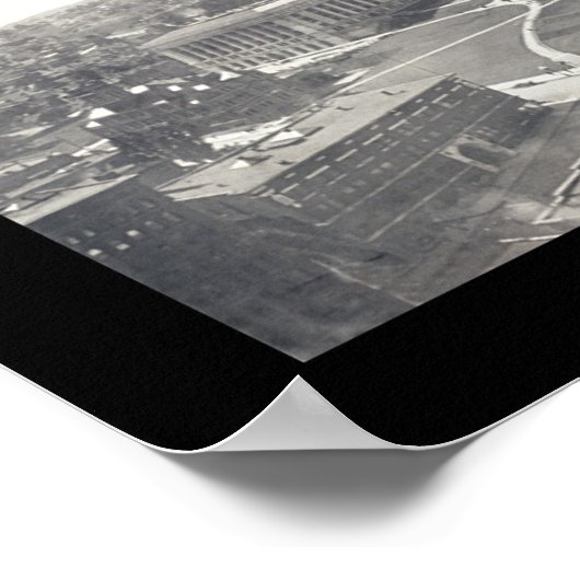 Poster Oiseaux de Duluth MN Photo 1914 (Coin)