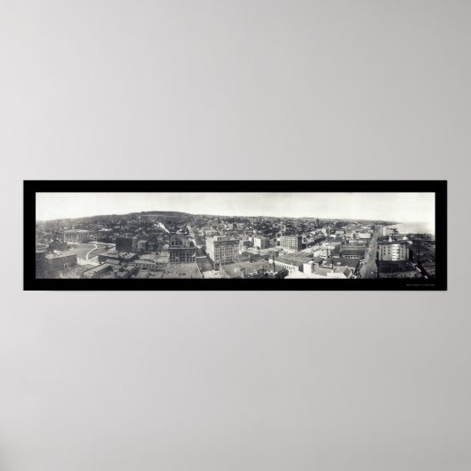 Poster Oiseaux de Duluth MN Photo 1914 (Devant)