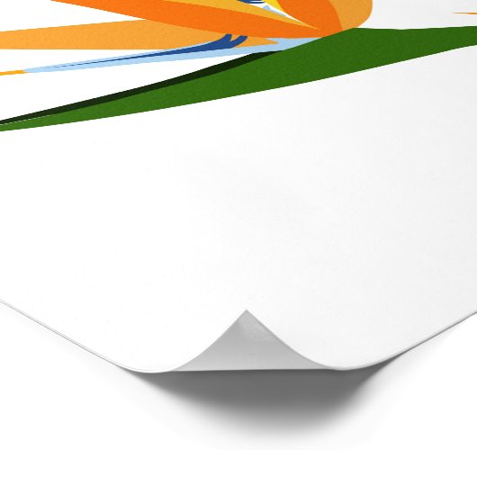 POSTER OISEAUX DE FLEURS DE PARADIS (Coin)