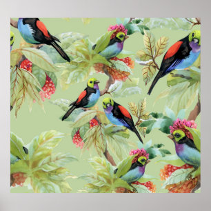Poster Oiseaux de fleurs d'été : Motif tropical