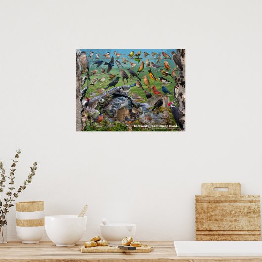 Poster Oiseaux de jardin de Rhode Island (Cuisine)