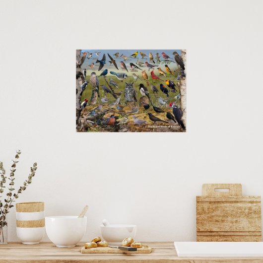 Poster Oiseaux de jardin du Kansas (Cuisine)
