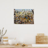 Poster Oiseaux de jardin du Montana (Cuisine)
