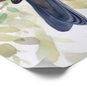 Poster Oiseaux de la colombe en deuil (Coin)