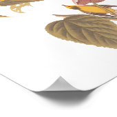 Poster Oiseaux de la Paruline Jaune à ailes bleues d'Audu (Coin)