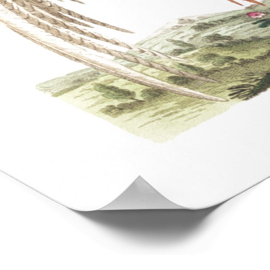 Poster Oiseaux de Linnaeus - faisans chinois (Coin)