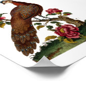 Poster Oiseaux de Linnaeus - Pheasant chinois de paon (Coin)