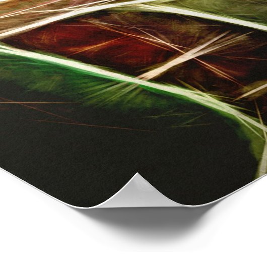 Poster Oiseaux de Loon (Coin)