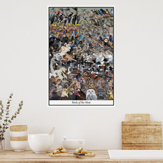 Poster Oiseaux de l'Ouest (Cuisine)
