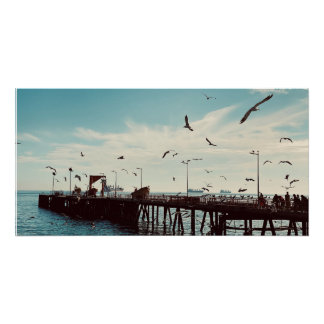 Poster Oiseaux de mer au-dessus de la jetée