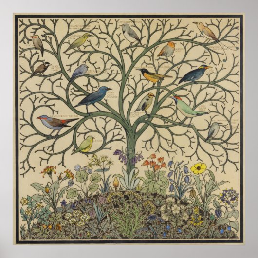Poster Oiseaux de nombreux climes par C.F.A Voysey (Devant)