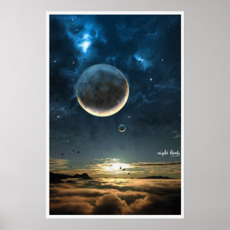 Poster Oiseaux de nuit