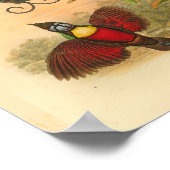 Poster Oiseaux de Paradise Rouge Vert Vintage Imprimer (Coin)