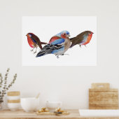 Poster Oiseaux de plumes 2011 (Cuisine)