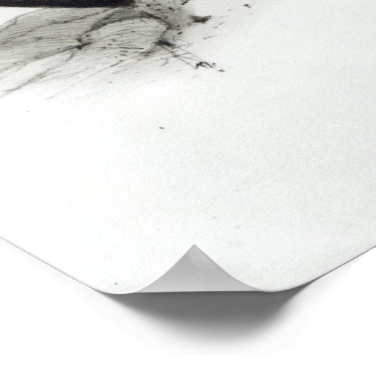 Poster Oiseaux de Prey (Coin)