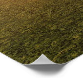 Poster Oiseaux De Prey (Coin)