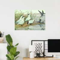 Oiseaux de rivage vintage dans un marais par Louis