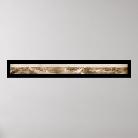 Poster Oiseaux De Stockton Photo 1895 (Devant)