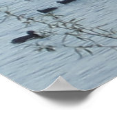 Poster Oiseaux du lac Imprimer (Coin)