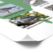 Poster Oiseaux du Maine (Coin)