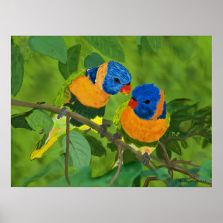 Poster Oiseaux Du Paradis