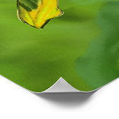 Poster Oiseaux Du Paradis (Coin)