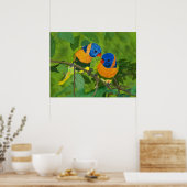 Poster Oiseaux Du Paradis (Cuisine)