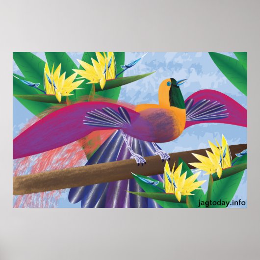 Poster Oiseaux du Paradis (Devant)