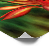 Poster Oiseaux Du Paradis Poster/Imprimer (Coin)