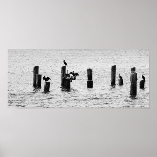 Poster Oiseaux du port de Boston (Devant)