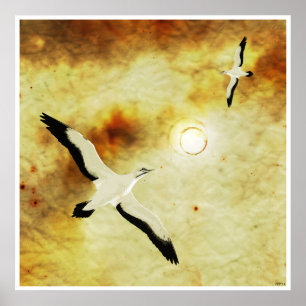 Poster Oiseaux du soleil