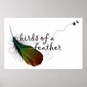 Poster oiseaux d'une plume.