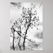 Poster Oiseaux d'une plume (Devant)