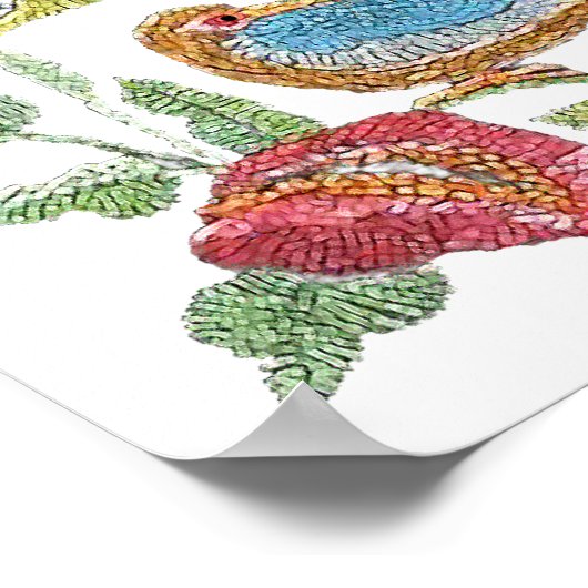 Poster Oiseaux d'une plume (Coin)