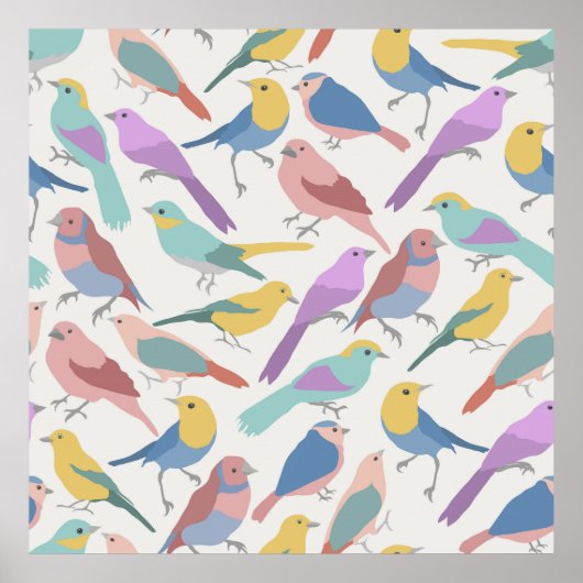 Poster Oiseaux Ensemble Animaux (Devant)