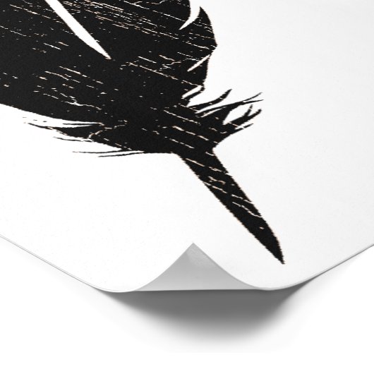 Poster Oiseaux Éruption d'une plume (Coin)