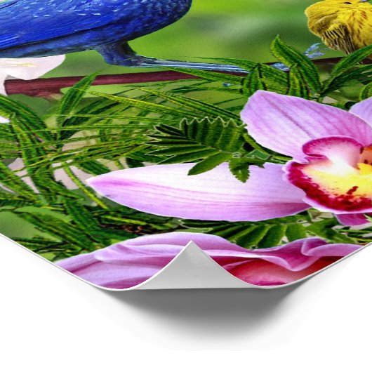 Poster Oiseaux et fleurs Belle image avec oiseaux (Coin)