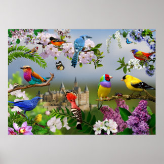 Poster Oiseaux et fleurs Belle image avec oiseaux