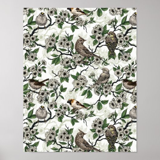 Poster Oiseaux et fleurs de cerisier sur fond blanc (Devant)
